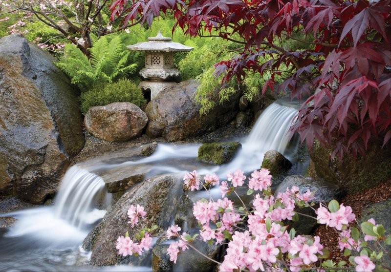 Сакура сад с водопадам