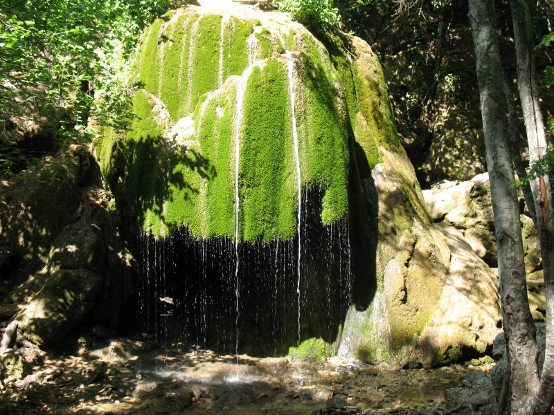 Водопад серебряные струи спрятавшийся среди заповедного
