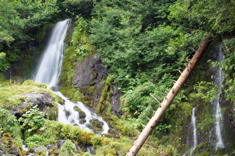 Абхазия водопады молочный птичий клюв