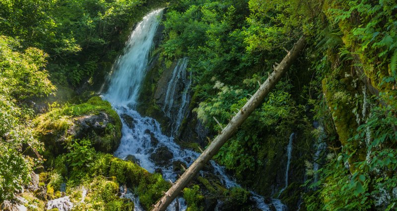 Птичий водопад Абхазия