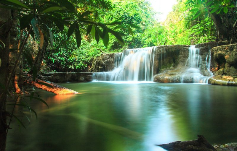 Тропический лес Тайланда