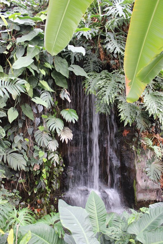 Водопад в тропическом лесу