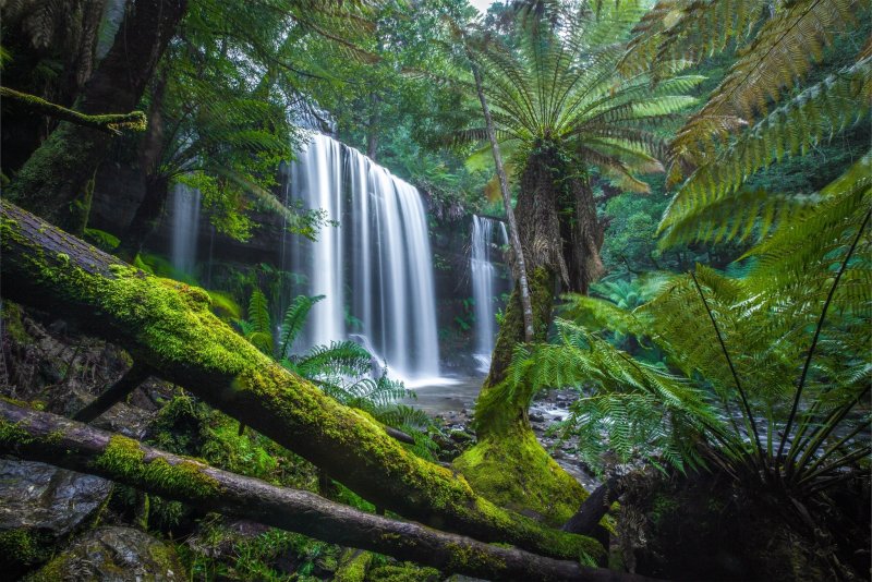 Маунт Филд — национальный парк