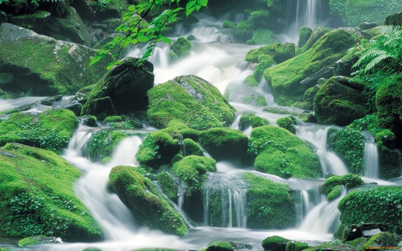 Водопад на зеленом фоне