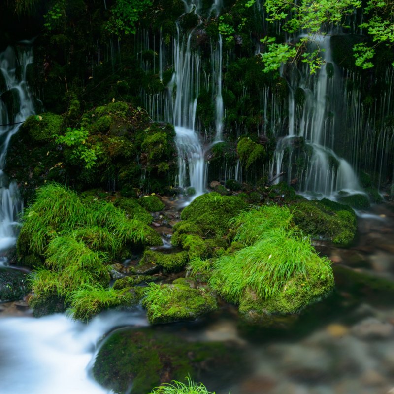 Красивые водопады и зелень