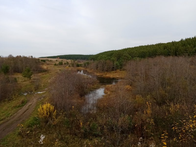 Река Южаково Свердловской области