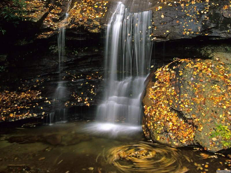 Водопады золотые золотые водопады
