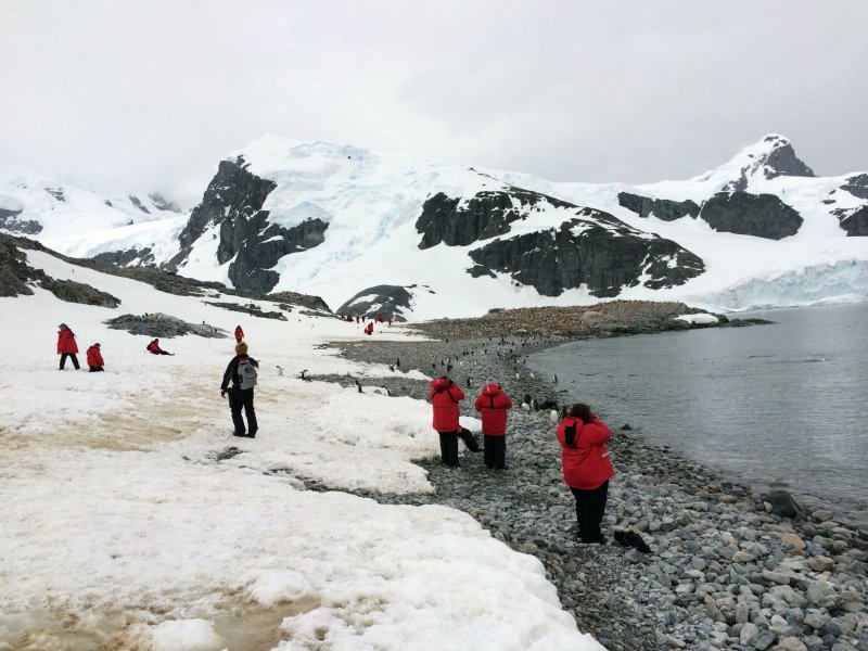 Озеро Бонни Антарктида