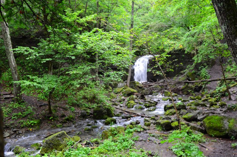 Кравцовские водопады Приморский край летом