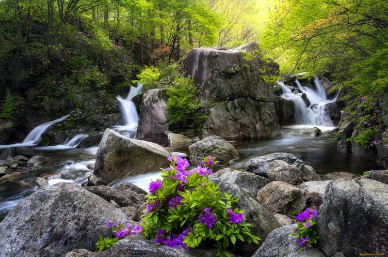 Горы цветы водопад