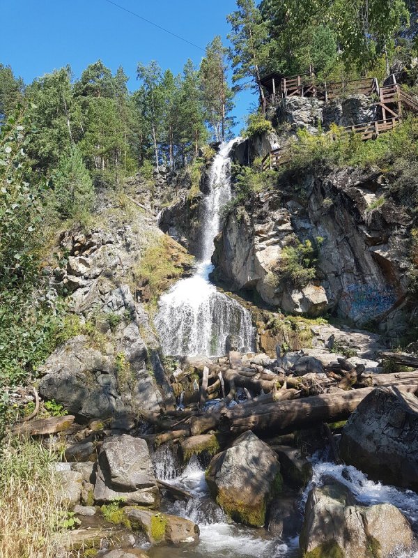 Камышлинский водопад лес