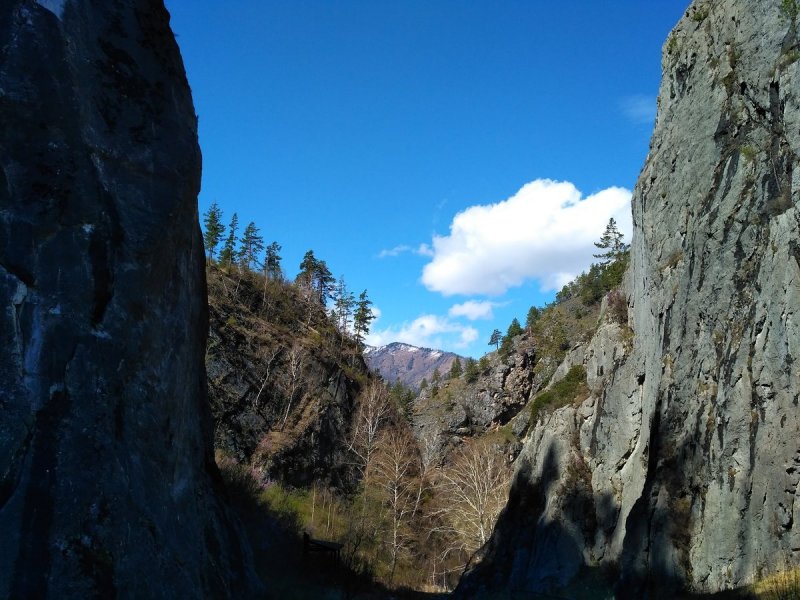 Ущелье Чечкыш горный Алтай