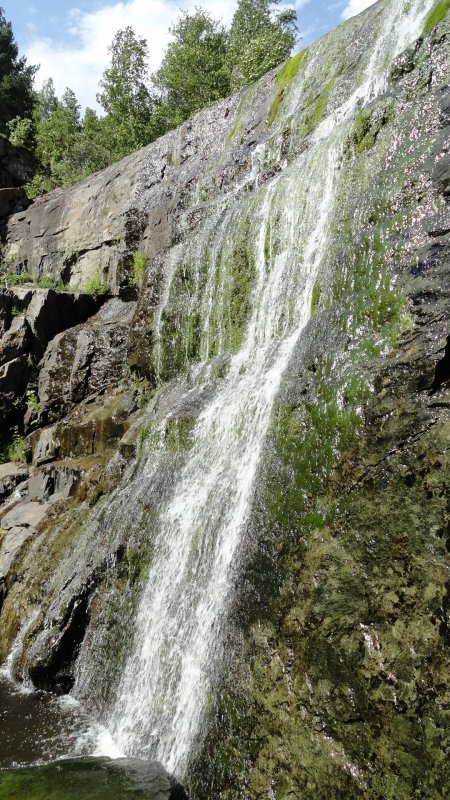 Флора водопада Атыш