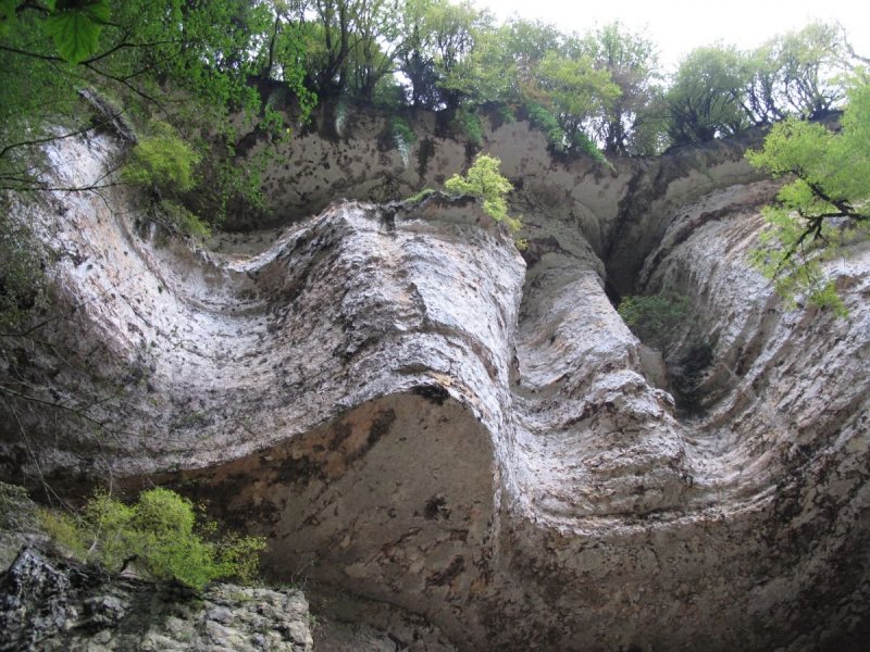 Шакуранское ущелье Абхазия