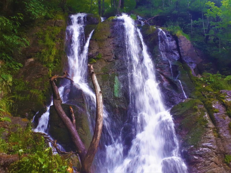 Экотропа водопад Поликаря