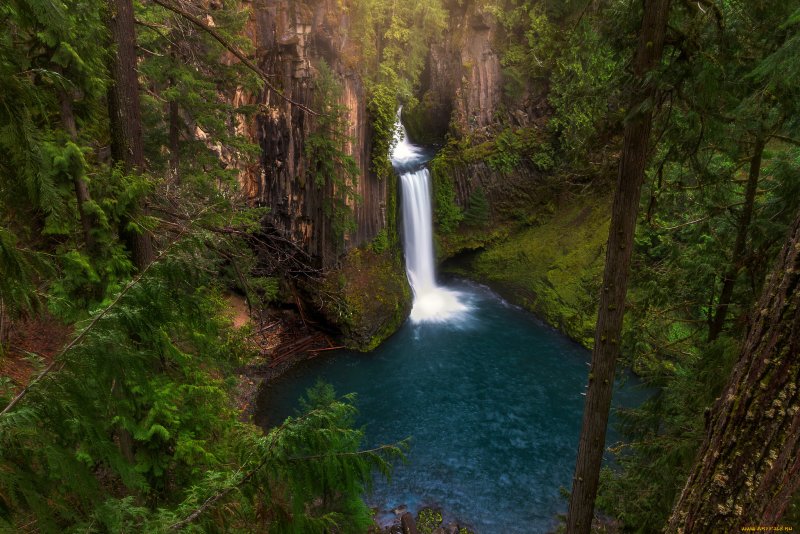 Водопады Север Орегон США лес