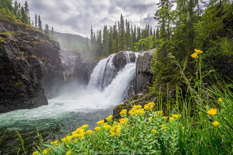 Природа водопад лес горы река цветы