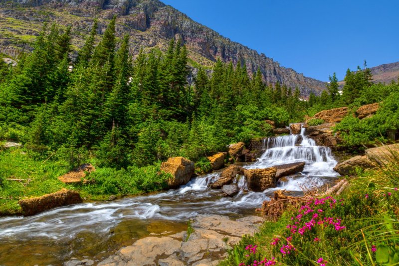 Природа водопад лес горы река цветы