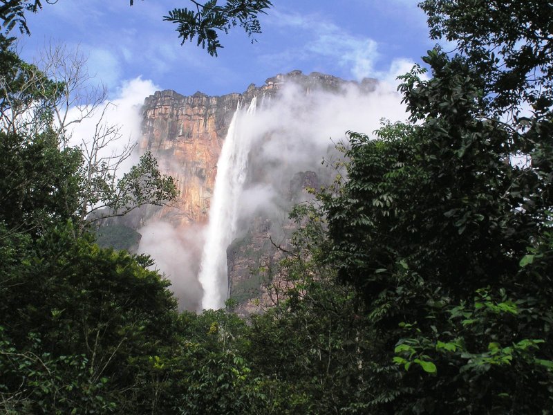 Роза Tugela Falls