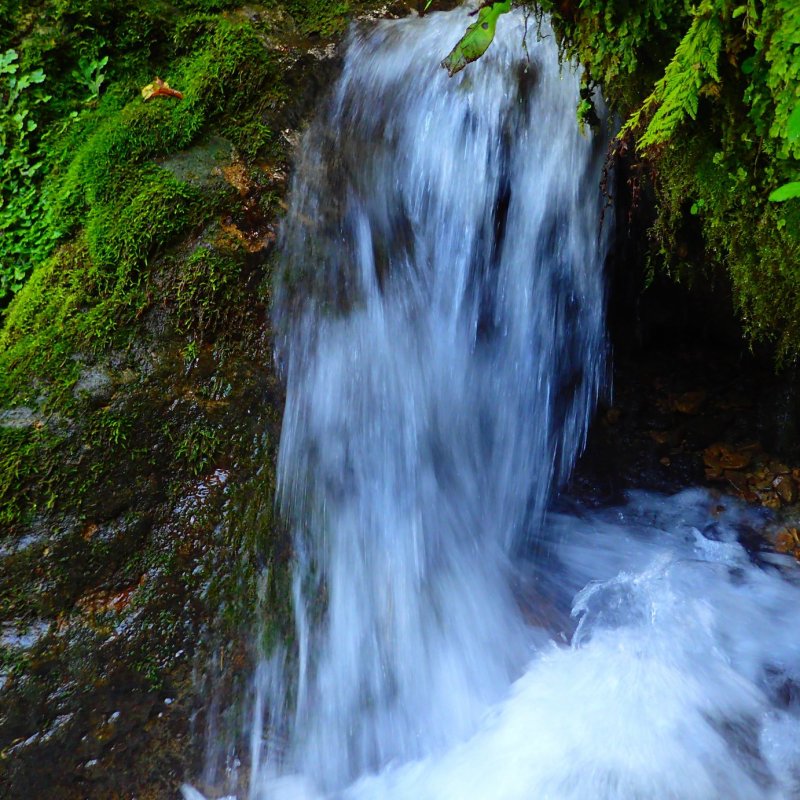 Молочные водопады в Абхазии