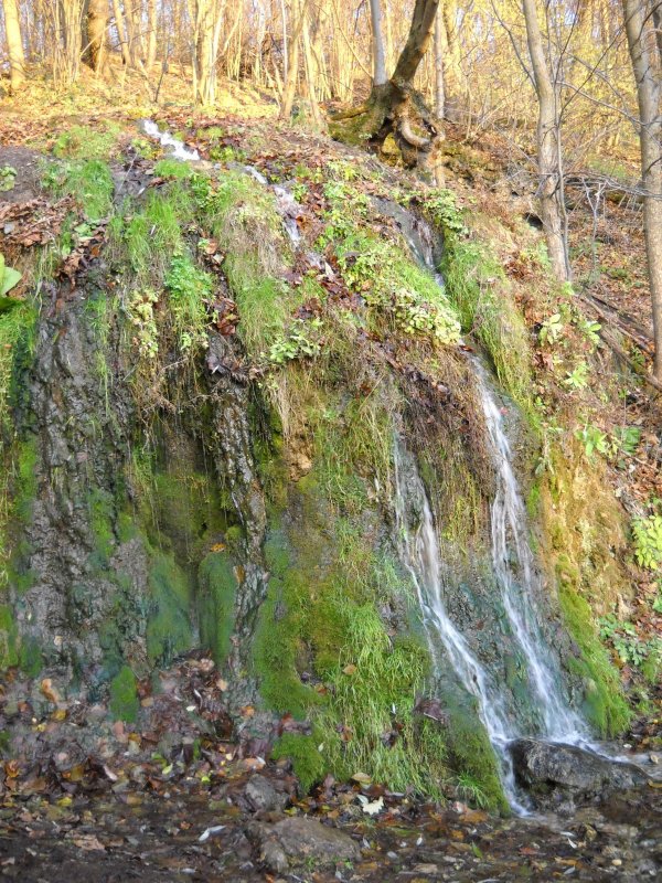 Пущинский водопад зимой