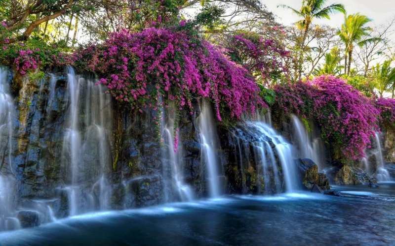 Цветущие водопады