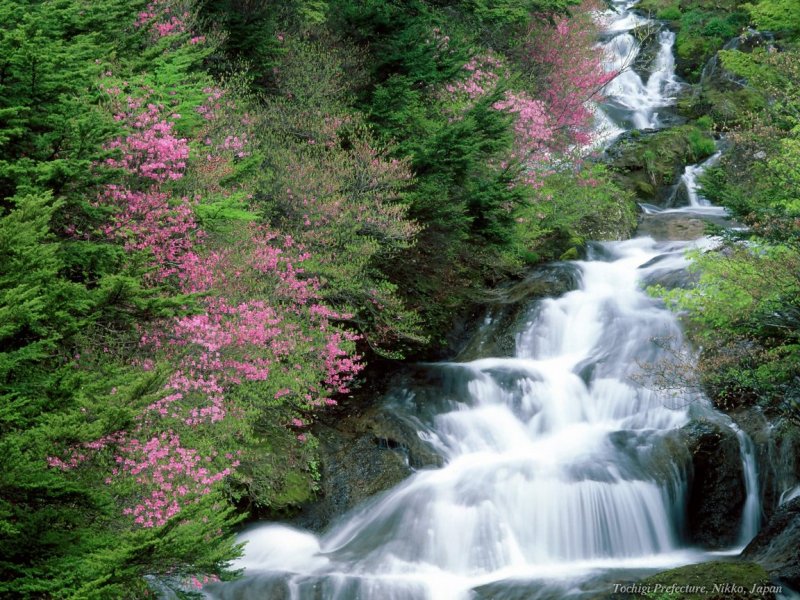 Цветущие водопады
