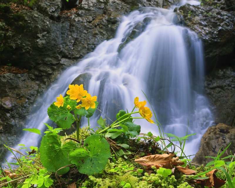 Весенний водопад