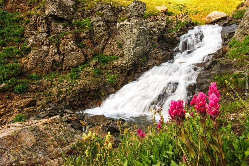 Природа водопад цветы горы