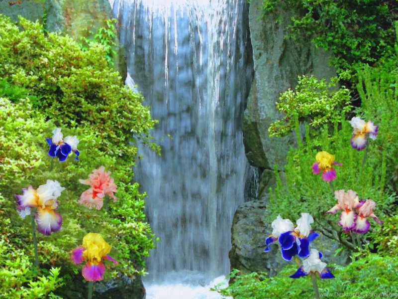 Водопад цветы