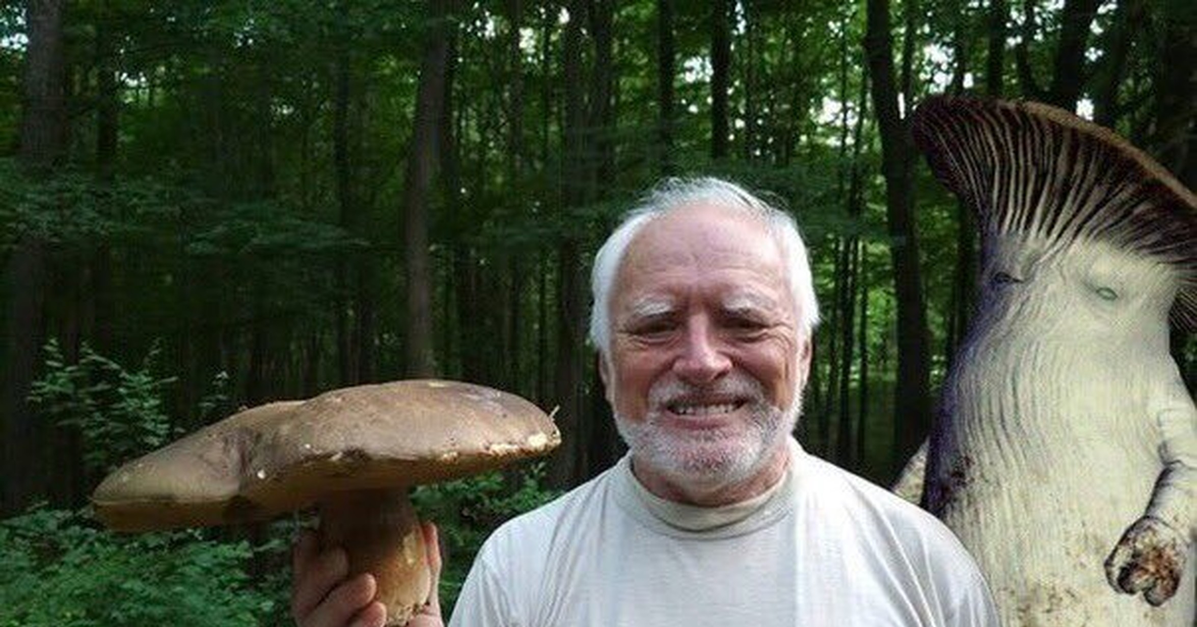 Огромный гриб