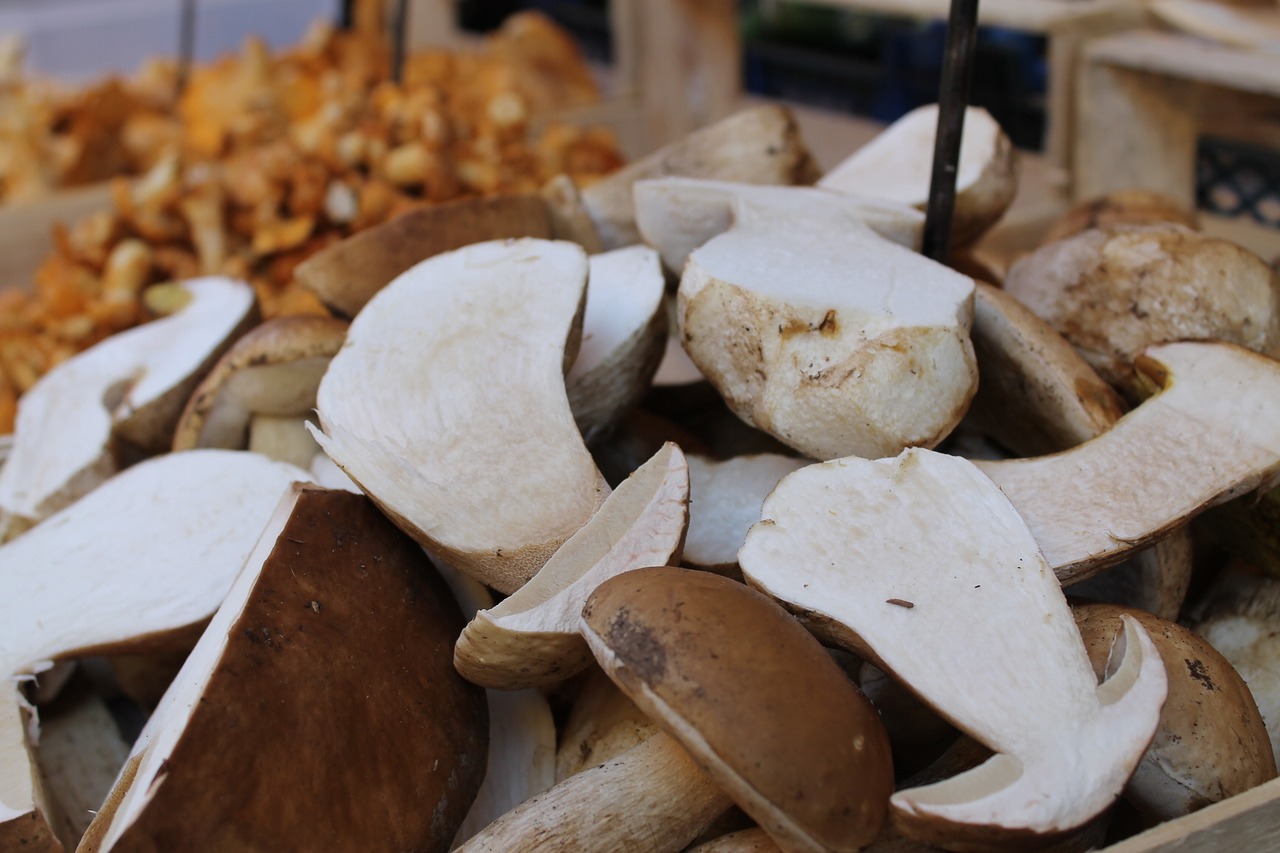 Итальянский грибы порчини