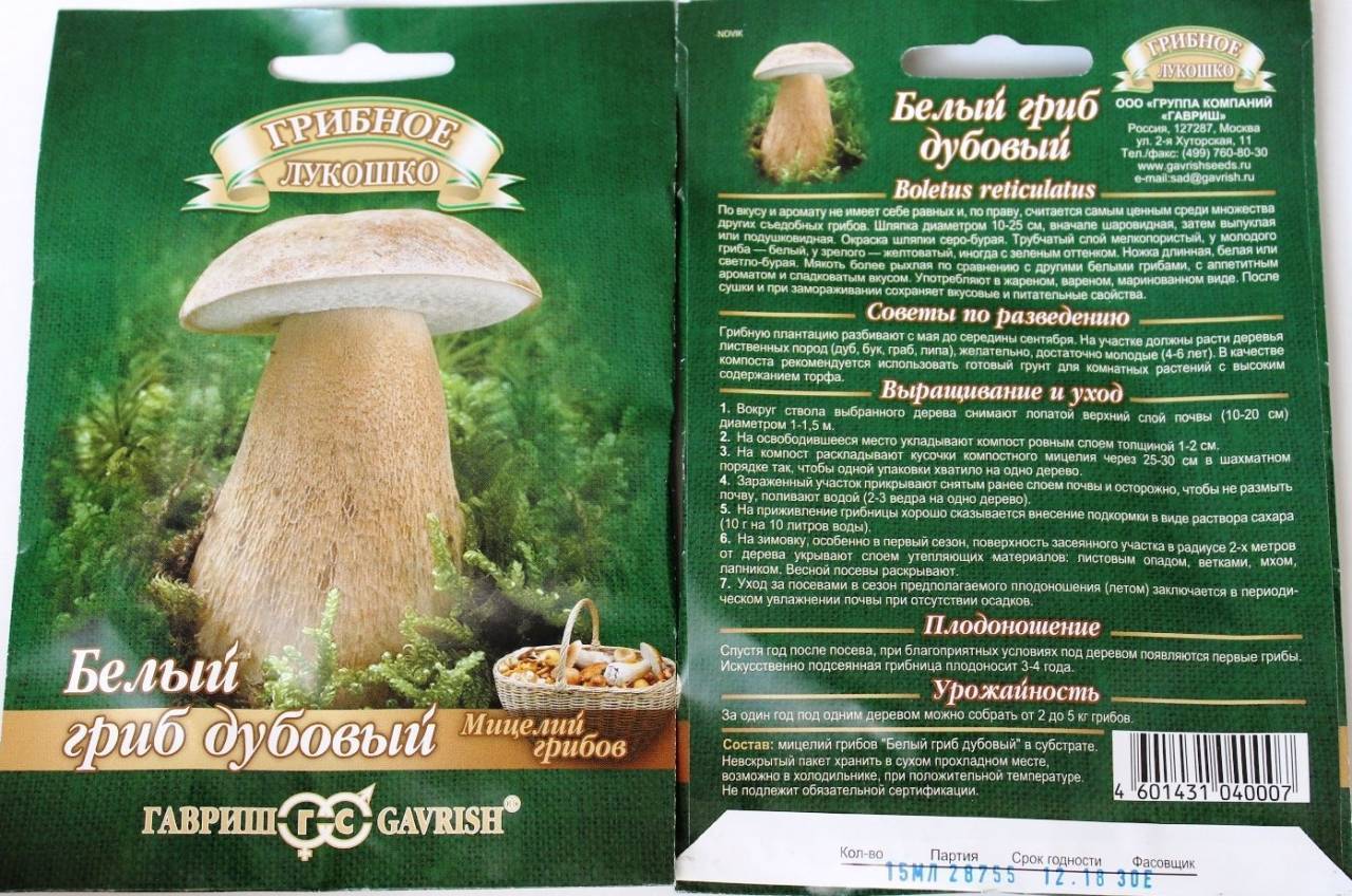 Мицелий грибов белый гриб дубовый Гавриш 15мл