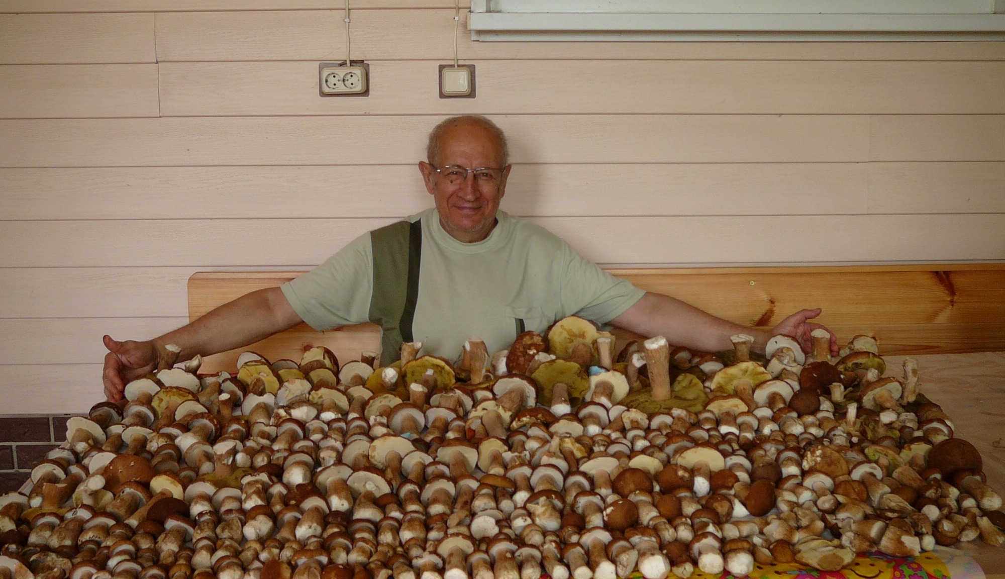 Очень очень много грибов