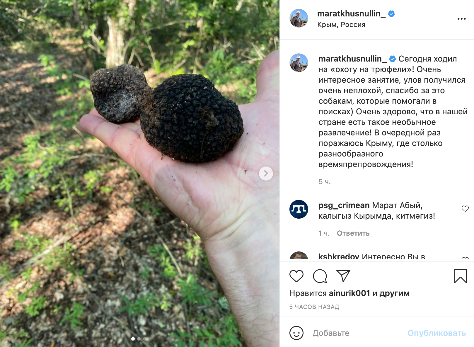 Крымский трюфель гриб фото и описание