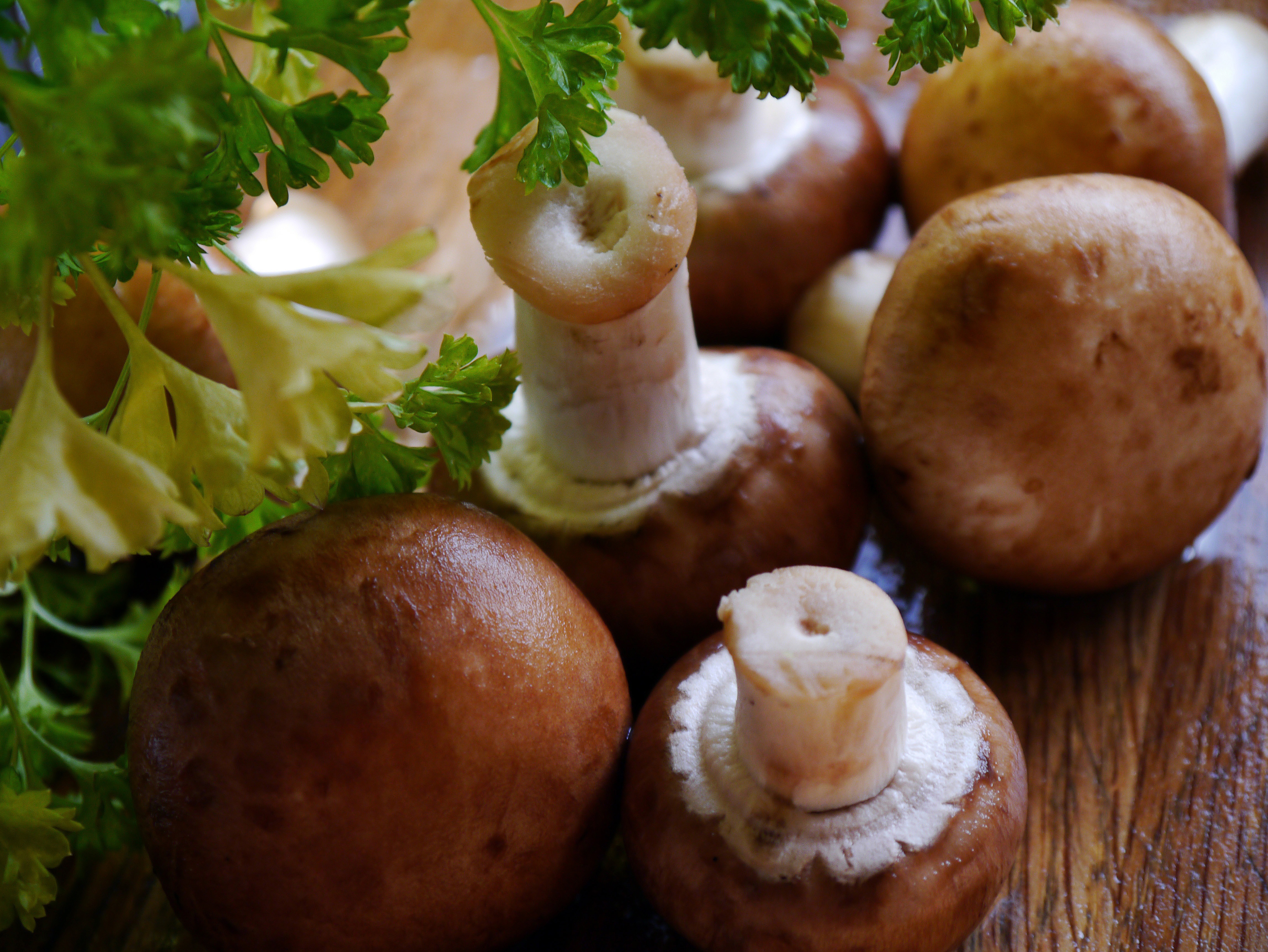 Рецепт со свежими грибами. Овощи и грибы. Грибочки из овощей. Блюда с грибами и овощами. Картошка с грибами.