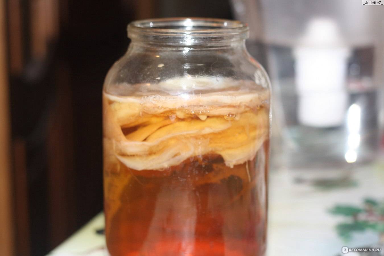 Чайный гриб в холодильнике. Чайный гриб - Комбуча. Чайный гриб leomax. Чайный гриб 100 кг. Квас на чайном грибе.