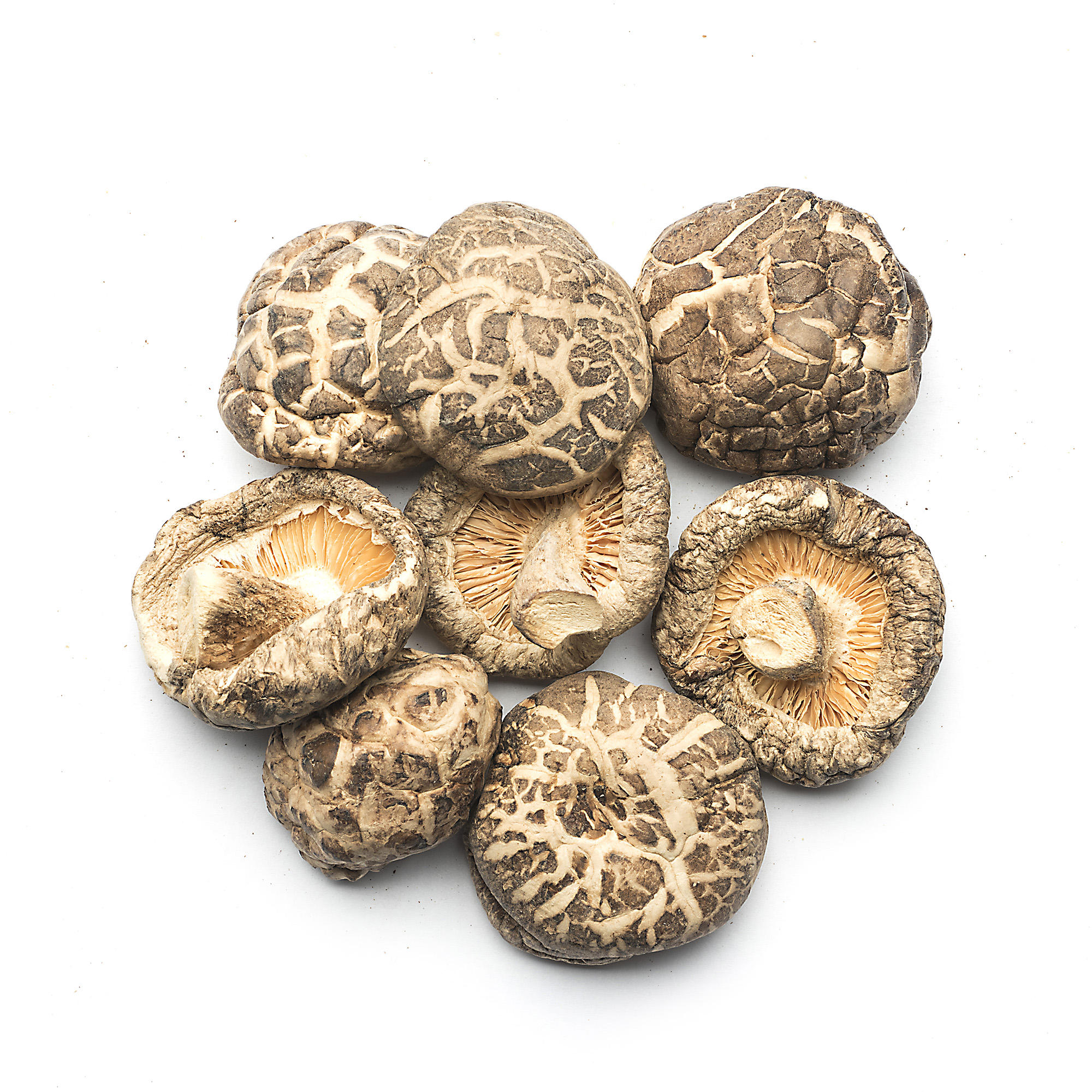 Китайские грибы шиитаке фото