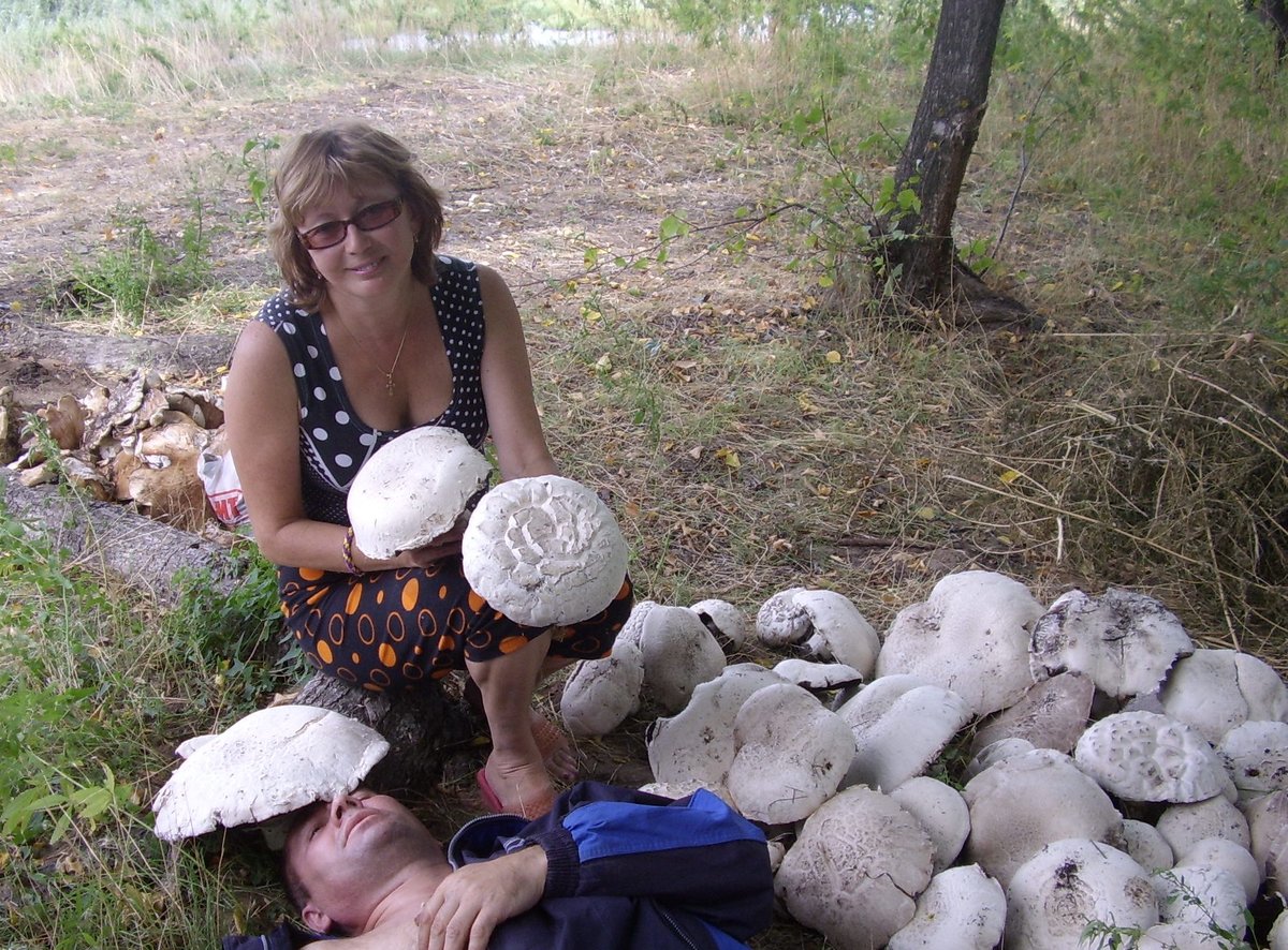 Украине в городе Луганске женщины в лесу на грибах