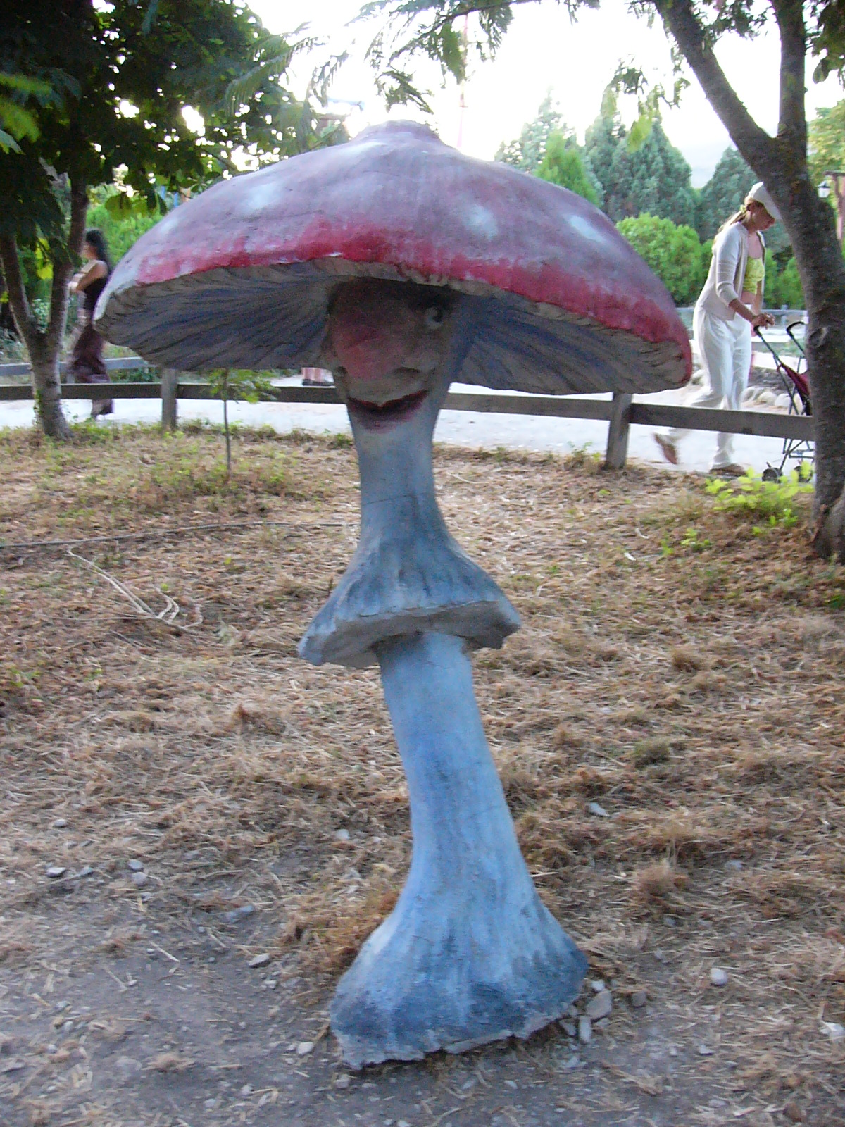 Чернобыльские грибы