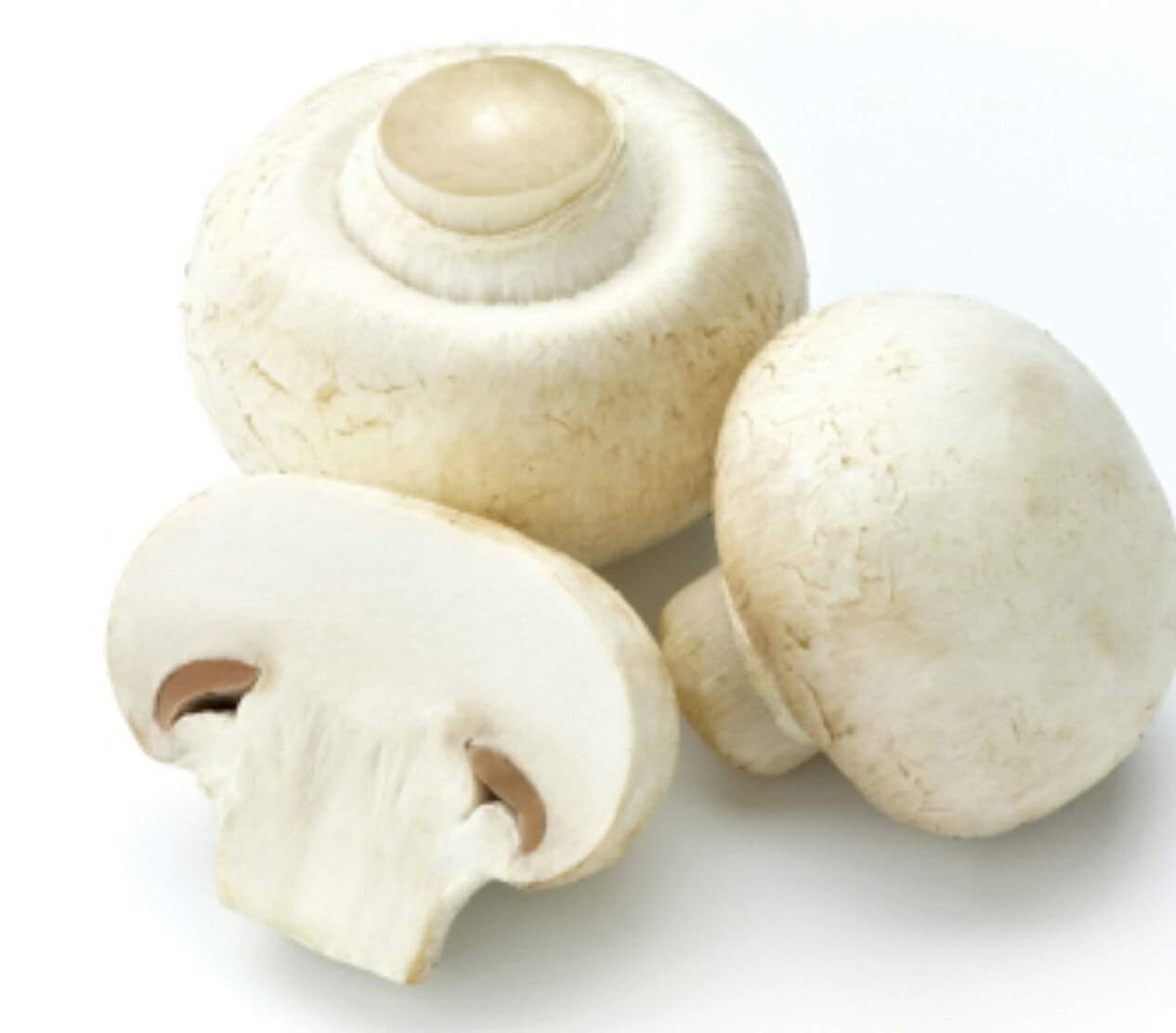 White Mushrooms champignon