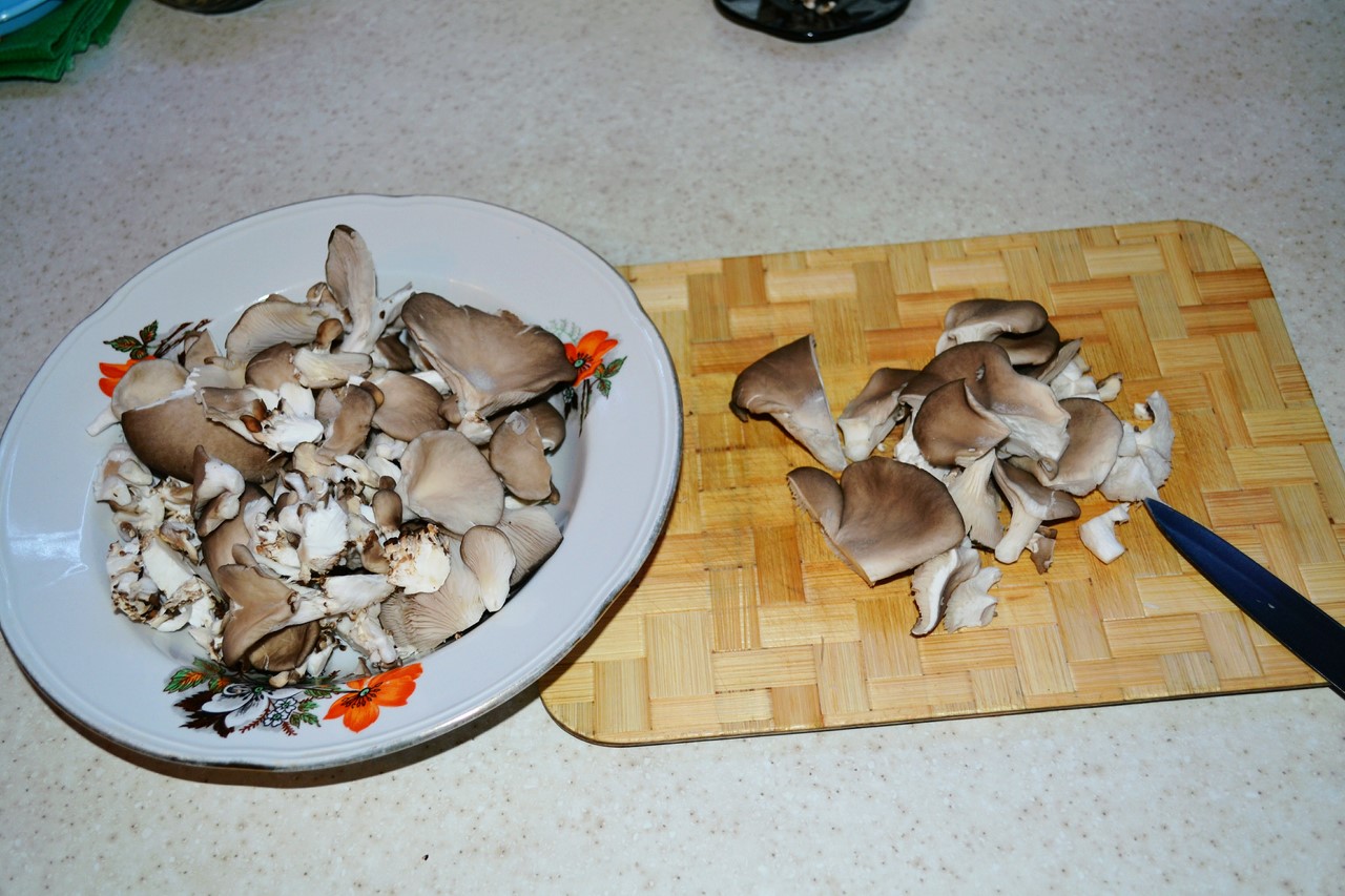 Мышата грибы в Крыму фото