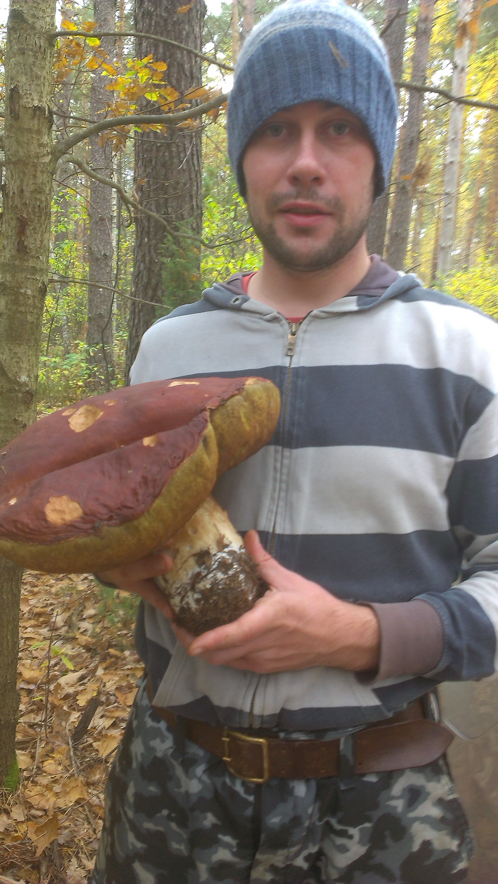 Самый большой в мире гриб Боровик
