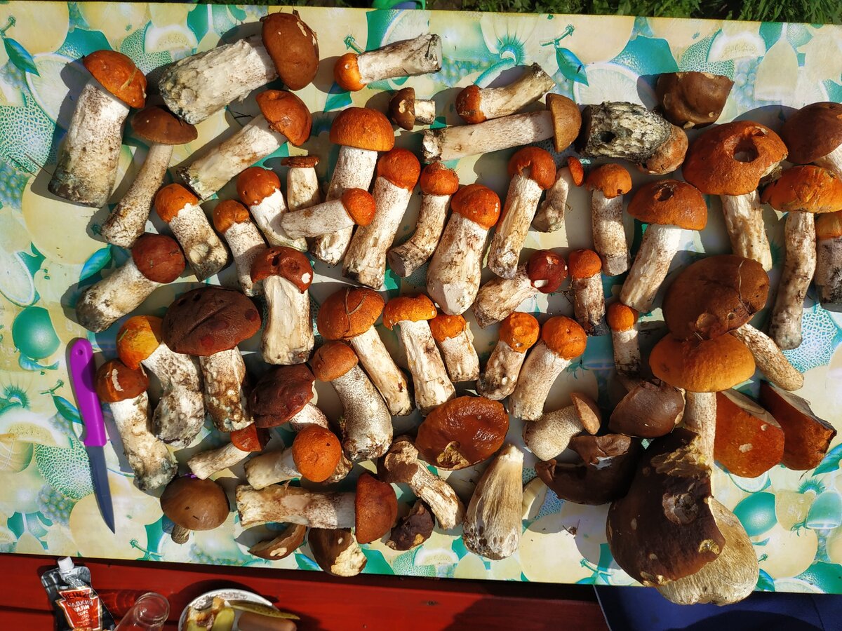 Бычки грибы маринованные