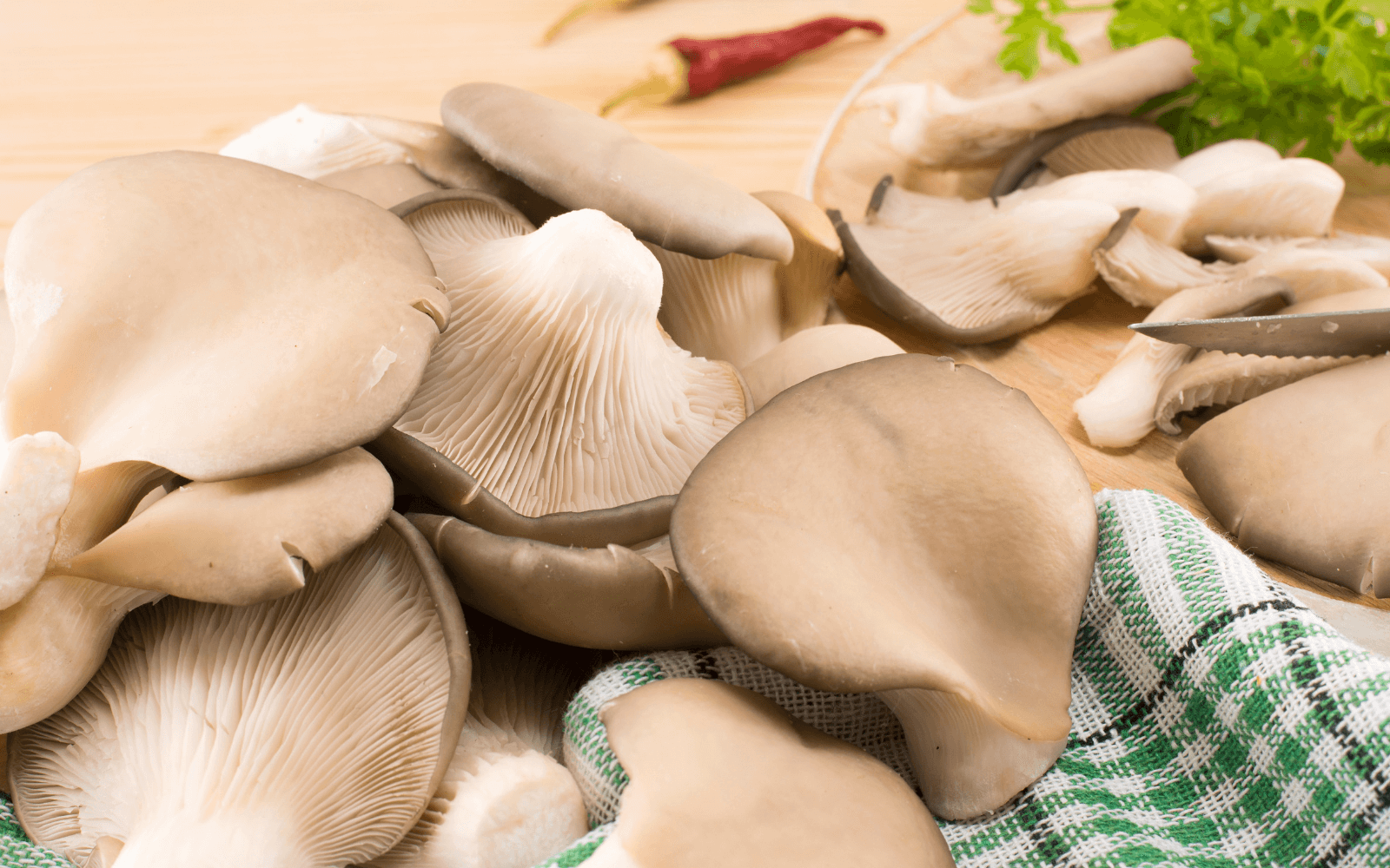 Manchkvala and Oyster Mushrooms