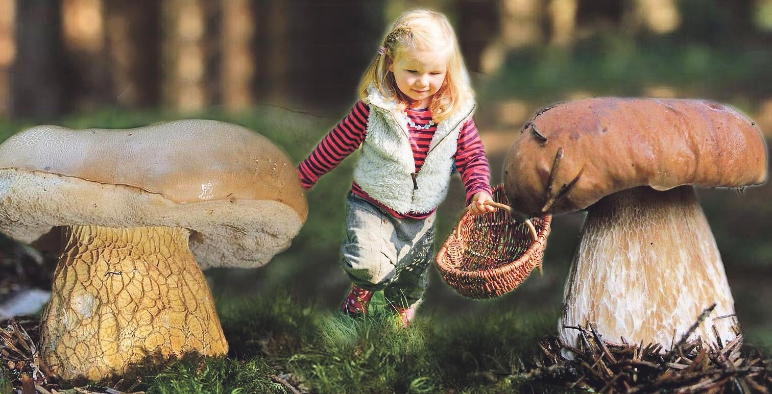 Фото с грибами девушка
