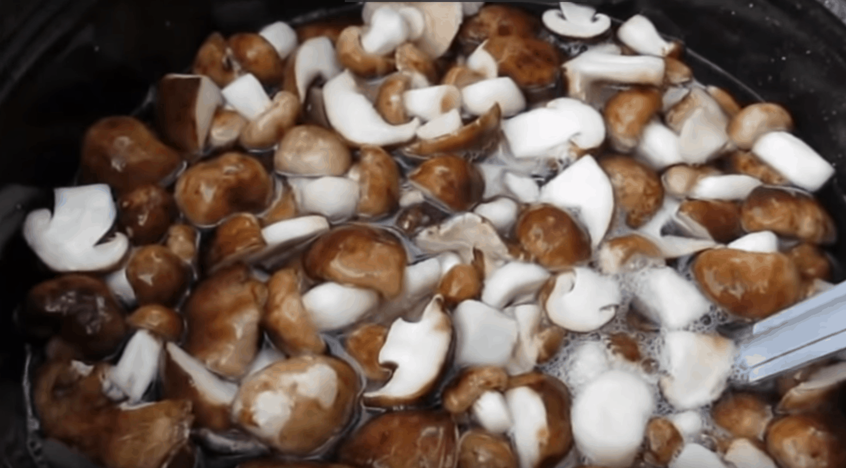 Тополёвая рядовка грибы маринованные