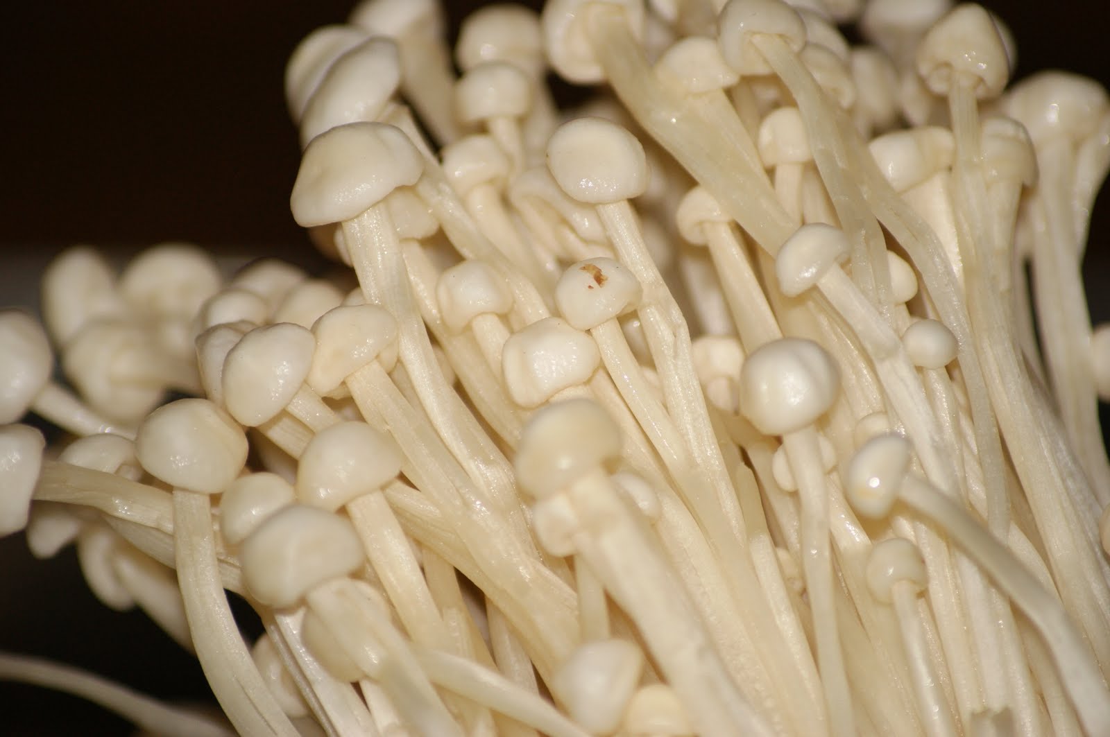 Корейские грибы Эноки
