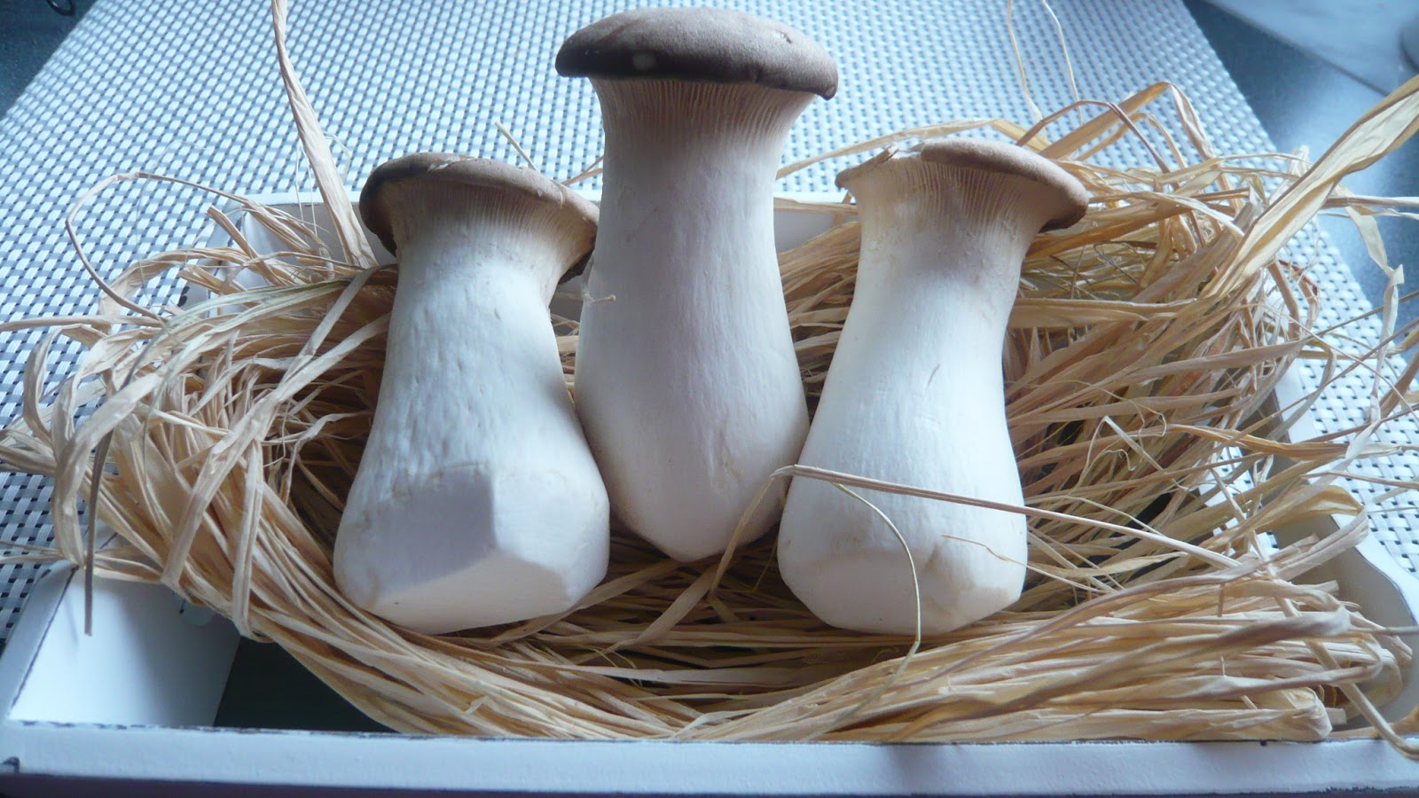 Корейские грибы Еринги