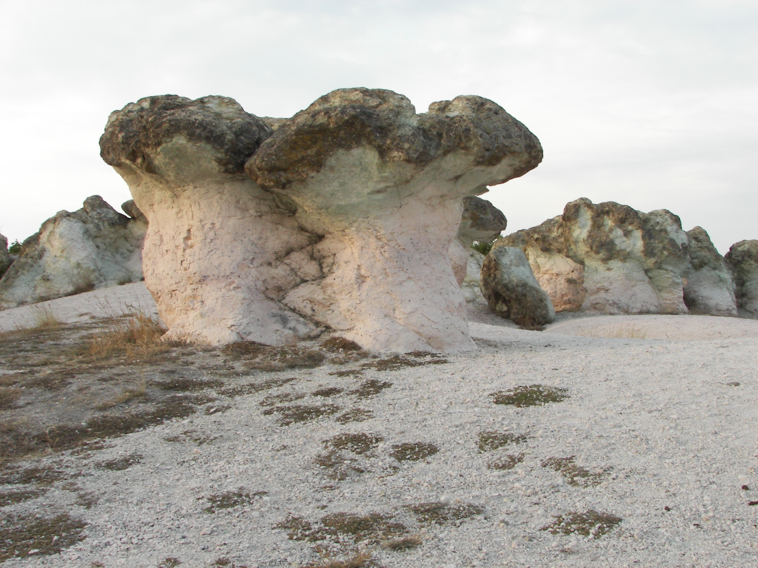 Stone huge. Каменные грибы Болгария. Гигантские каменные грибы. Гриб похожий на камень. На что похожи камни.